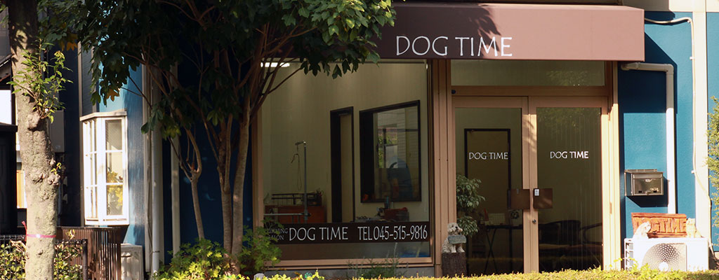 DOG TIME